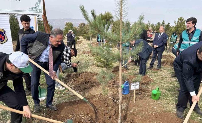 Bingöl’de 25 bin fidan toprakla buluştu