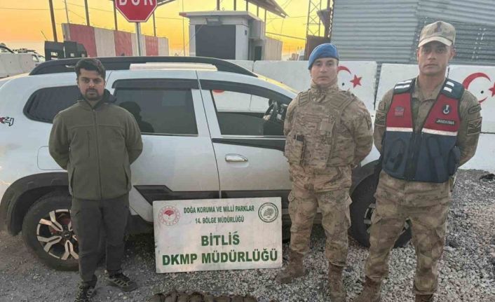 Bitlis’te kota aşımı yapan 5 avcıya 63 bin 680 lira ceza