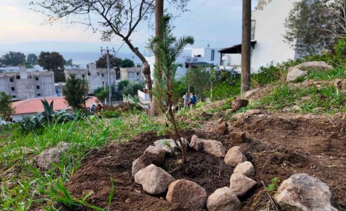 Bodrum Belediyesi çocukları doğayla buluşturdu