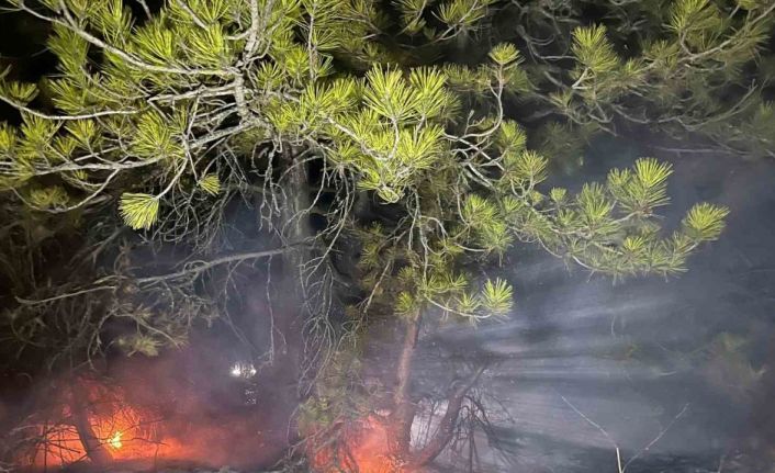 Bolu’da ormanlık alanda yangın çıktı