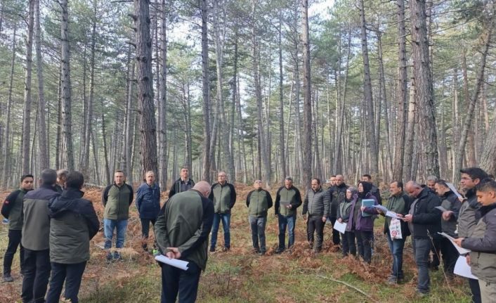 Bolu’da sağlıklı ormanlar için ekipler sahaya indi