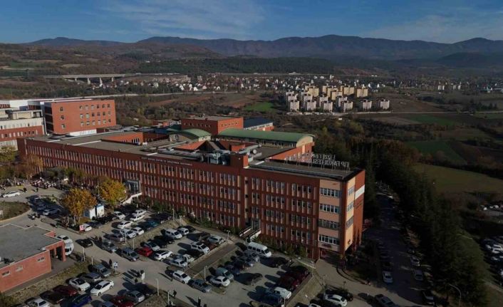 Bolu’da topladığı mantarları yiyen bir kişi zehirlendi