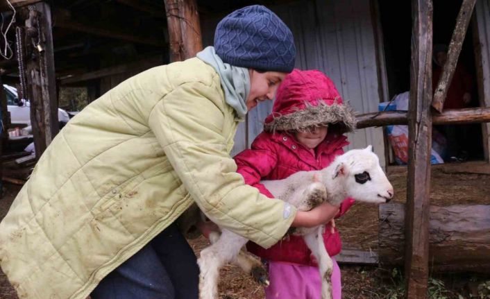 Bolu’da yaylalardan köylere göç başladı