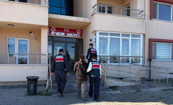 Boş arazide bulunan bebek cesediyle ilgili 1 tutuklama