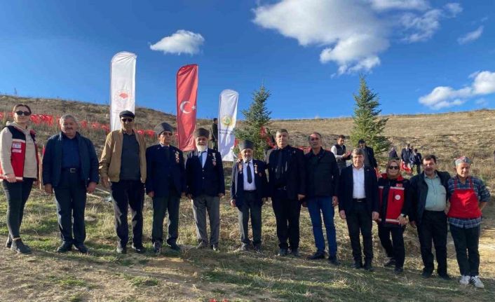 Bozüyük’te şehitler anısına fidan dikimi