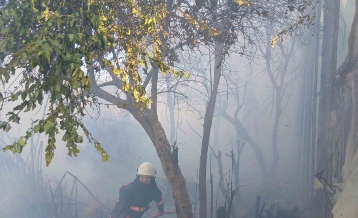 Bozyazı’da çıkan yangın seralara zarar verdi