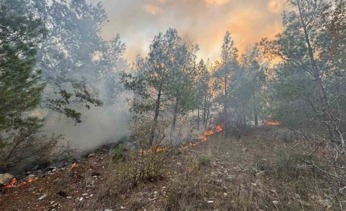 Bozyazı’da orman yangını kontrol altına alındı