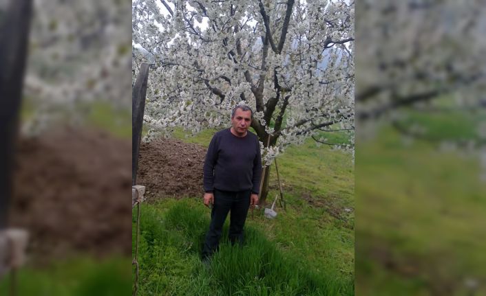 Budadığı ağaçtan düşen adam hayatını kaybetti