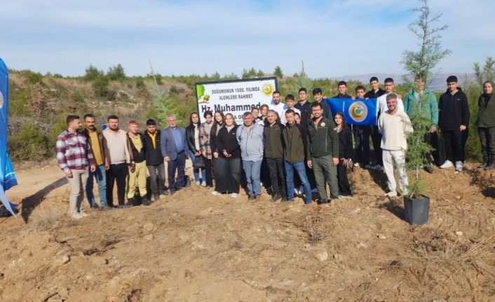 Buldan Müftülüğü tarafından hatıra ormanı oluşturuldu