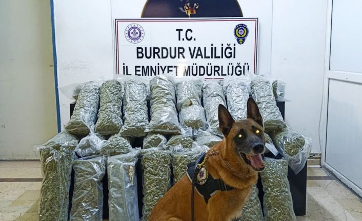 Burdur’da 36 kilo skunk maddesi ele geçirildi, operasyon görüntülüleri film sahnelerini aratmadı