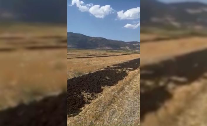 Burdur’da araziye arıtma çamuru döken firmaya 48 milyon 612 bin lira para cezası