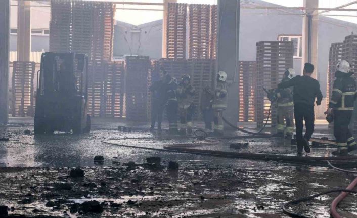 Bursa’da palet fabrikası alevlere teslim oldu