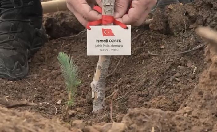 Bursa’da şehitler anısına fidan dikildi