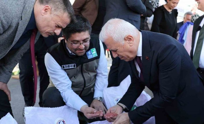 Bursalı çiftçinin yüzü gülüyor