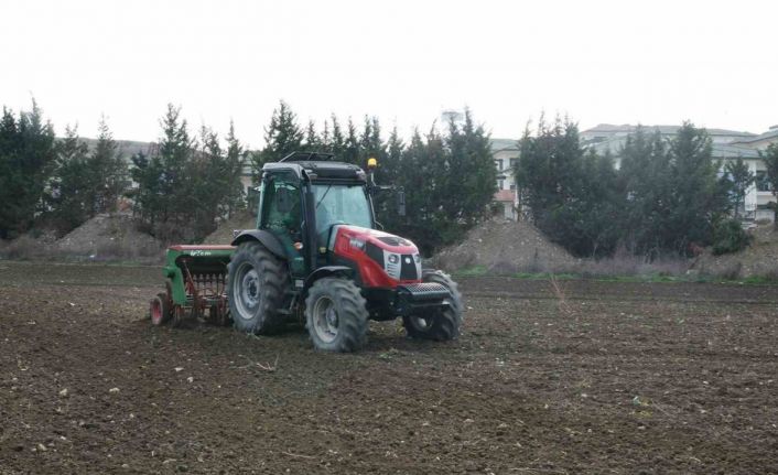 Büyükçekmece’de atıl araziler buğdayla buluştu
