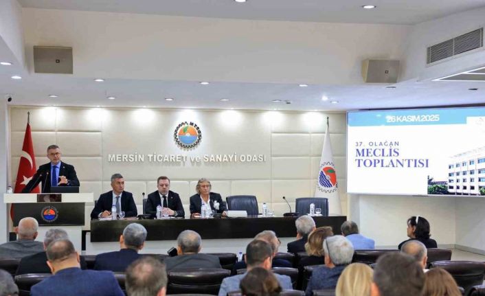 Çakır: "Mersin ekonomik gelişmişlikte büyük sıçrama yaptı"