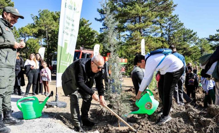 Çameli’de 11 Kasım Milli Ağaçlandırma Günü kapsamında fidanlar toprakla buluştu