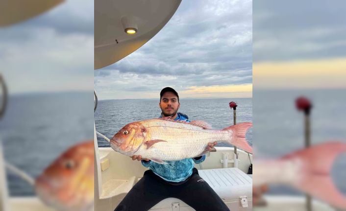 Çanakkale’de balıkçılar 12 kilogramlık mercan balığı yakaladı