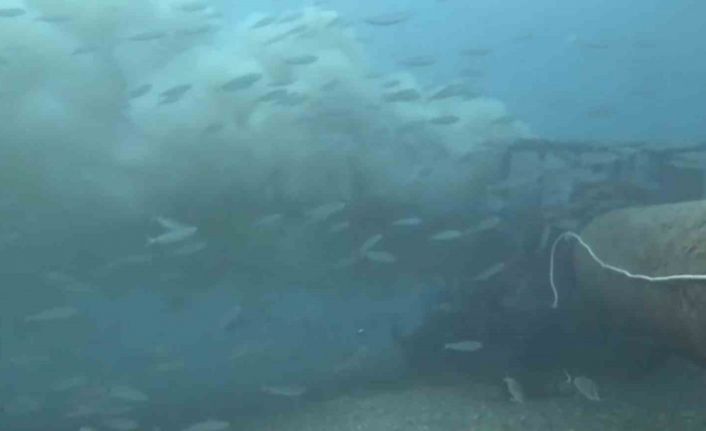 Çanakkale’de boğaza dökülen atık su ile karşılaşan dalgıç, o anları su altı kamerasıyla kaydetti