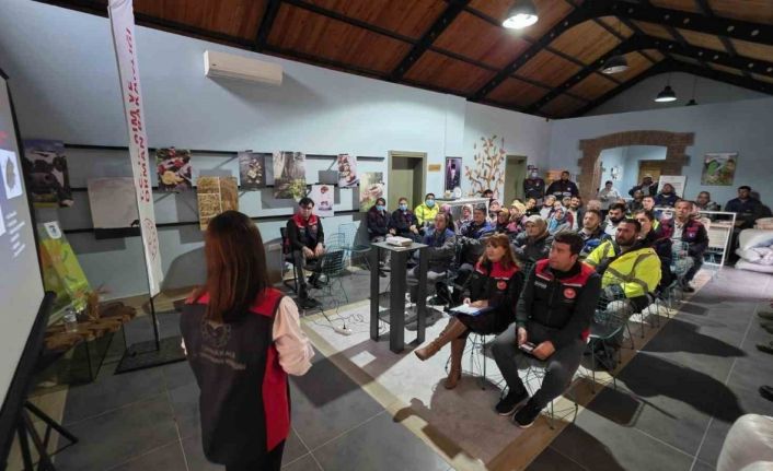 Çanakkale’de kahve rengi kokarcalarla 4 bin samuray arısı mücadele edecek