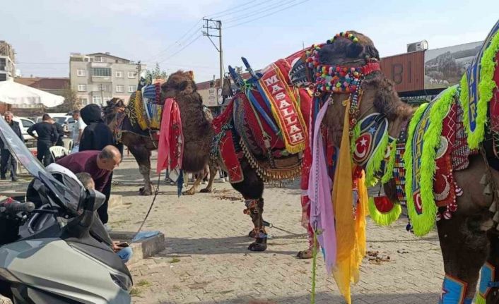 Çan’da havut giydirme hayrı düzenlendi