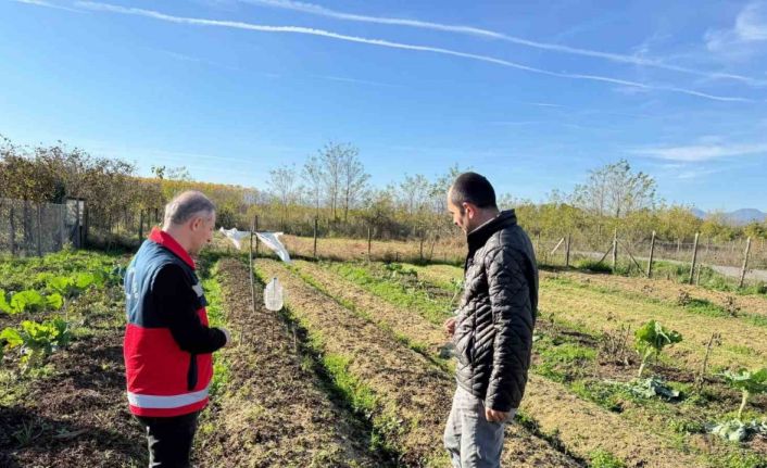 Çarşamba Ovası’nın yeni gözdesi: Salep