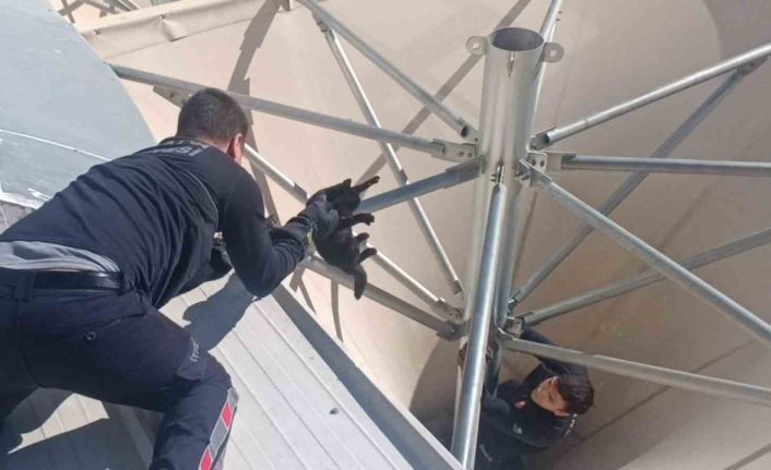 Çatıda mahsur kalan kediyi itfaiye kurtardı