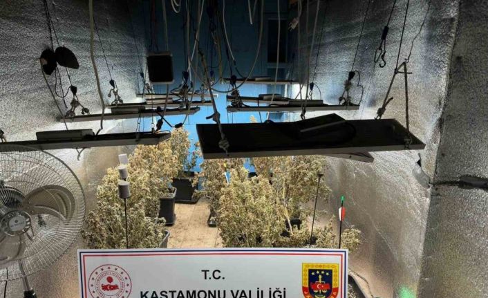 Çiftlik evlerini kenevir serasına çeviren sanıkların yargılanmasına devam edildi