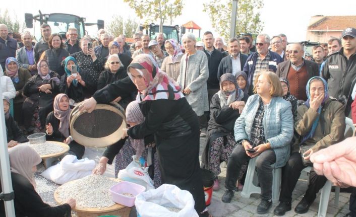 Coğrafi işaretli Kazak fasulyesinde ilk hasat festivali yapıldı