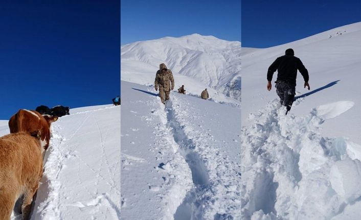 Dağda mahsur kalan 19 büyükbaş ekipler tarafından kurtarıldı