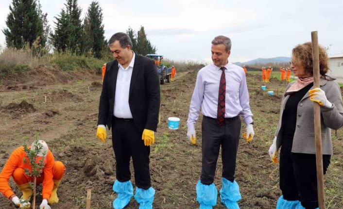 Dalaman Açık Ceza İnfaz Kurumunda 10 dekar alana Sakız ağacı fidanı dikildi