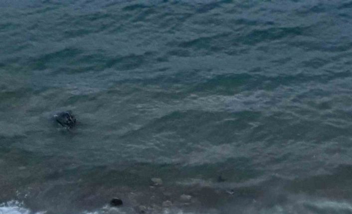 Datça’da virajı alamayan araç denize uçtu: 1 yaralı