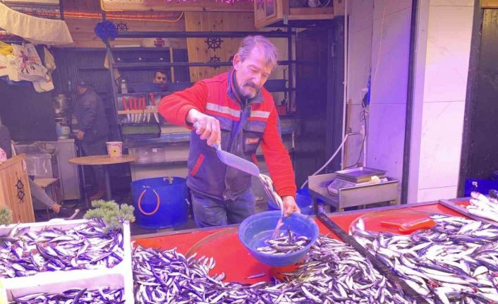 Denizlerde bollaşan hamsi tezgahlarda 100 TL’ye yer buldu