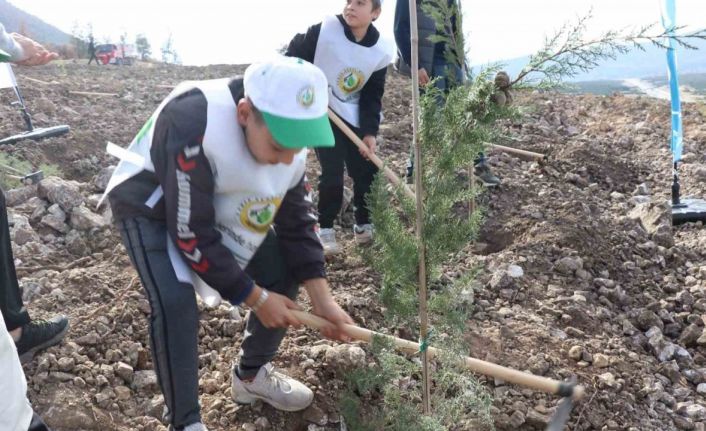 Denizli’de yanan alanlarda binlerce fidan toprakla buluştu