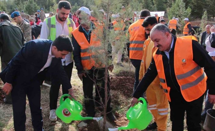 DEPSAŞ Enerji’den Makam Dağı’na 3 bin fidanlık yeşil dokunuş