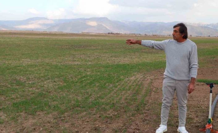 Develi’de yapılan mera ıslahı 33 çiftçi için umut oldu