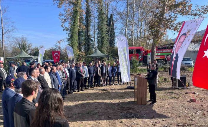 Devrek’te fidan dikim programı