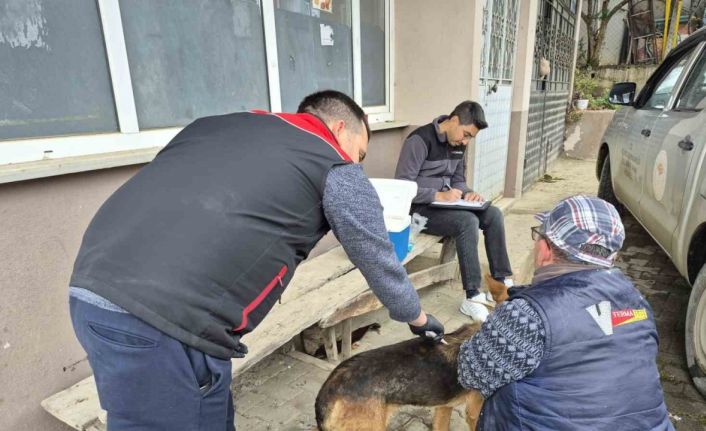 Dijital kimliklendirmede son tarih 31 Aralık 2025