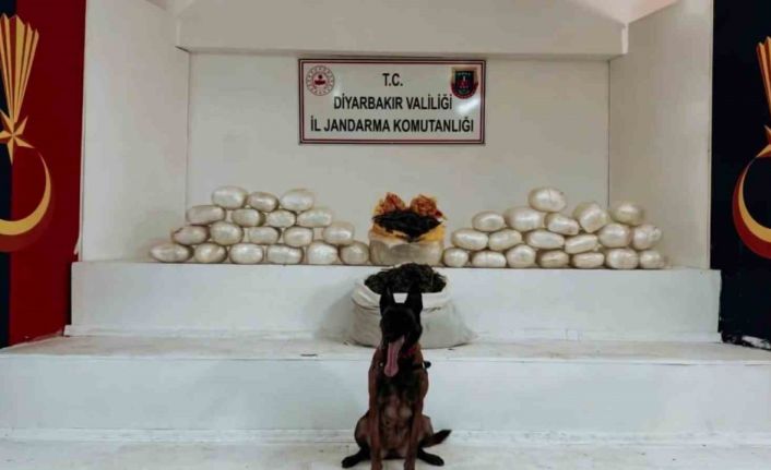 Diyarbakır’da 470 kilo skunk ve 85 kilo esrar ele geçirildi