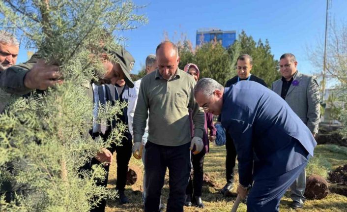 Diyarbakır’da Dünya Prematüre Günü etkinliği