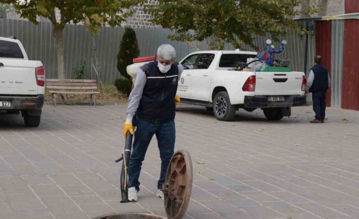 Diyarbakır’da haşerelere karşı kışlak ilaçlamanın startı verildi
