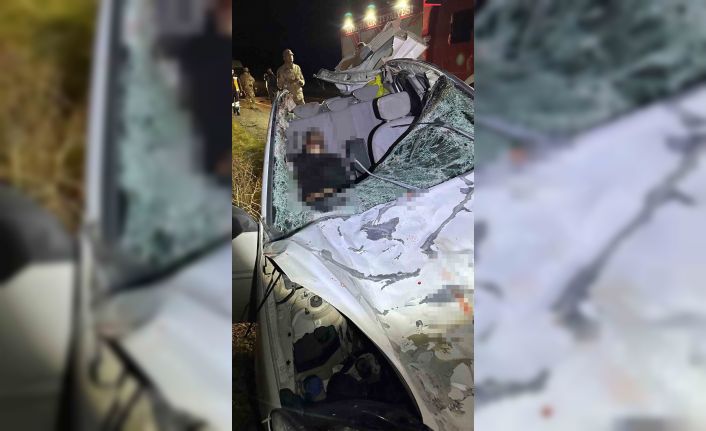 Diyarbakır’da iki otomobil ile at çarpıştı: 1 ölü, 7 yaralı