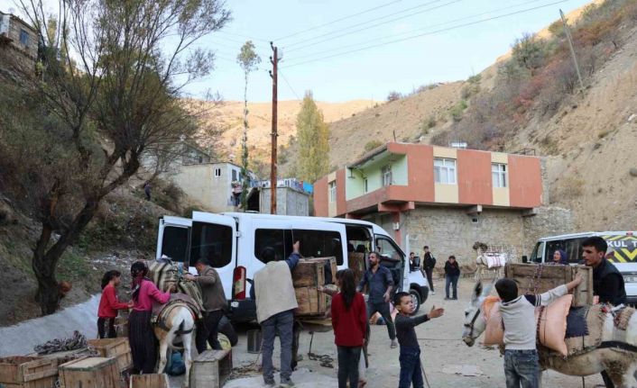 Diyarbakır’ın kırsal mahallesinde yükler eşeklerle evlere götürülüyor