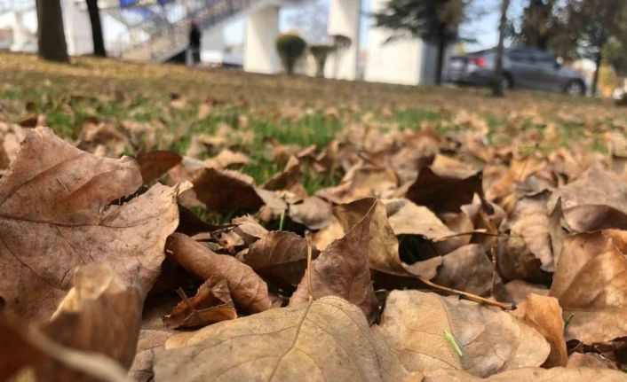 Dökülen yaprakla kartpostallık görüntüler oluşturdu