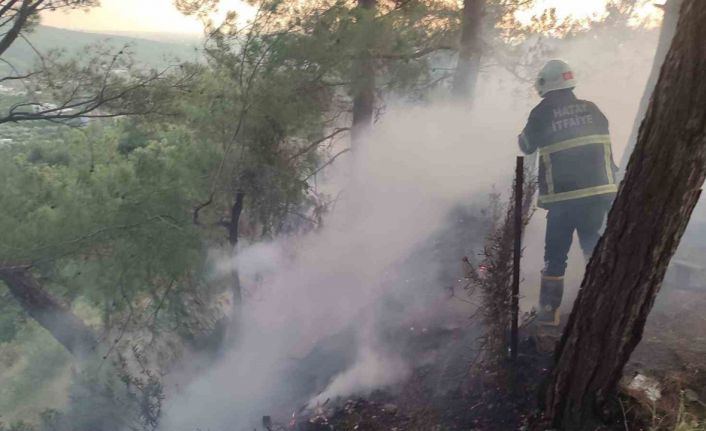 Dörtyol’da ormanlık yangını