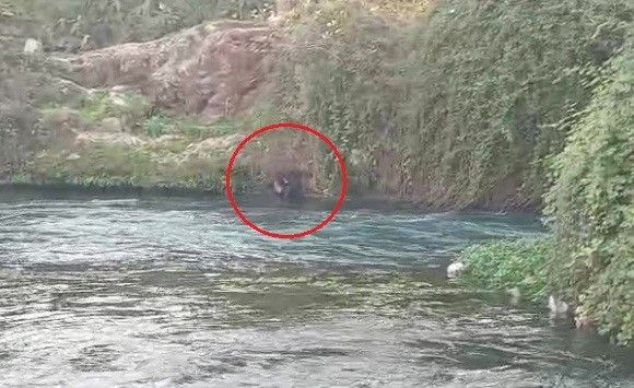 Düden Çayı’na düşen şahsı itfaiye ekipleri kurtardı