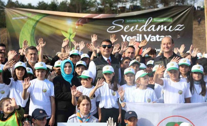 Düzce’de 43 bin 563 fidan toprakla buluştu