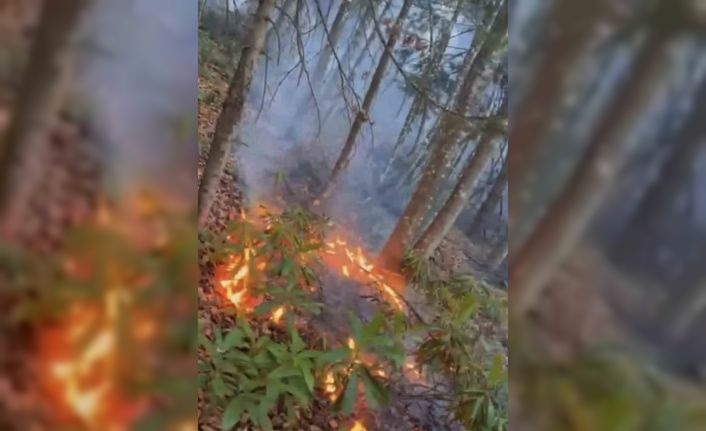 Düzce’de ormanlık alanda örtü yangını