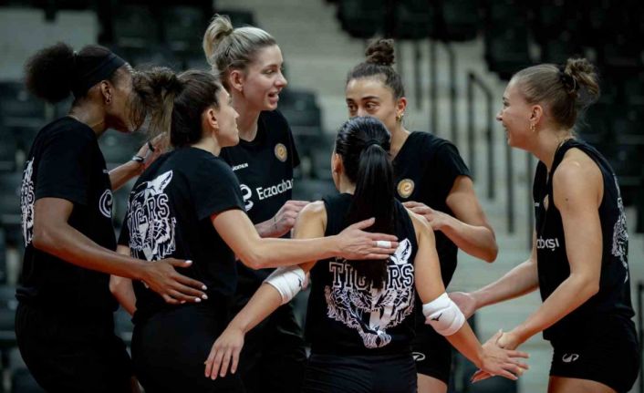 Eczacıbaşı Dynavit, Şampiyonlar Ligi sahnesinde