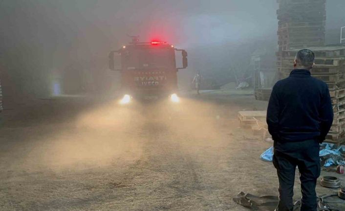 Edirne’de palet fabrikasında yangın